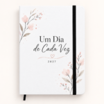 2027 - Um Dia de Cada Vez